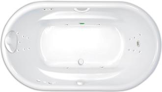 Luxury Two Person Whirlpool Bathtub, Combination Tub, and Air Tub